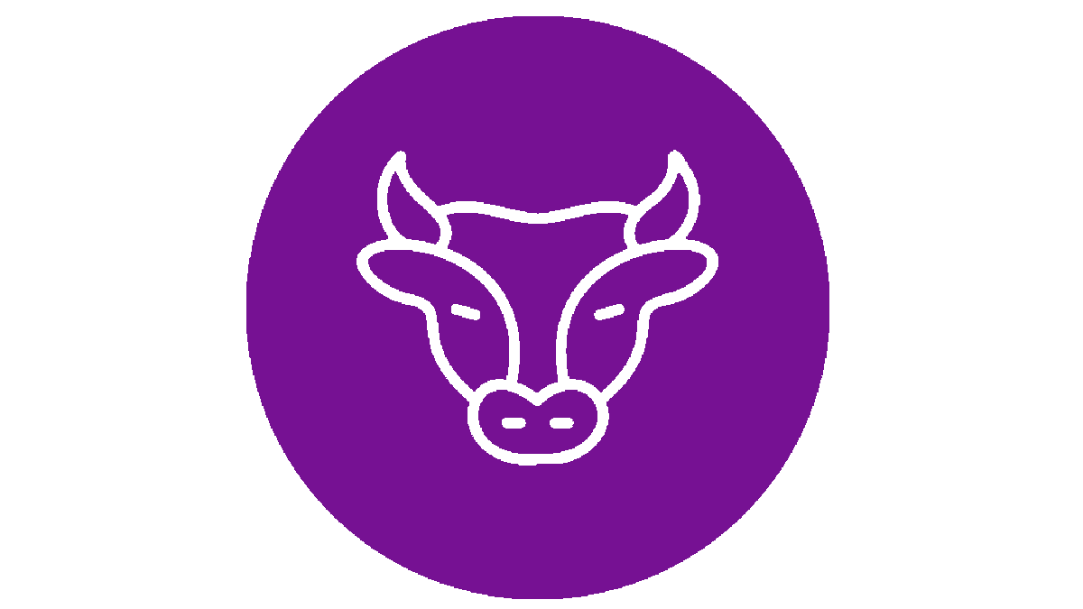 la vaca morada